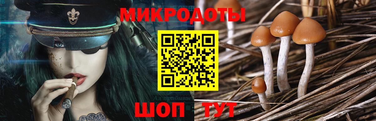 Галлюциногенные грибы MAGIC MUSHROOMS  Псилоцибиновые грибы Psilocybe  Благодарный  Вход с VPN 